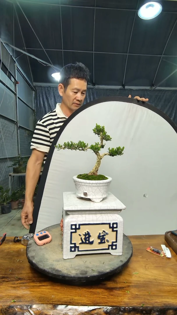 完全开放…**…1111111