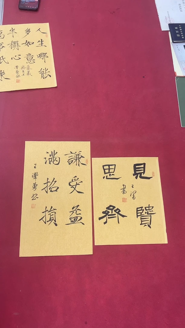 书法中书王泽勇老师书法作品