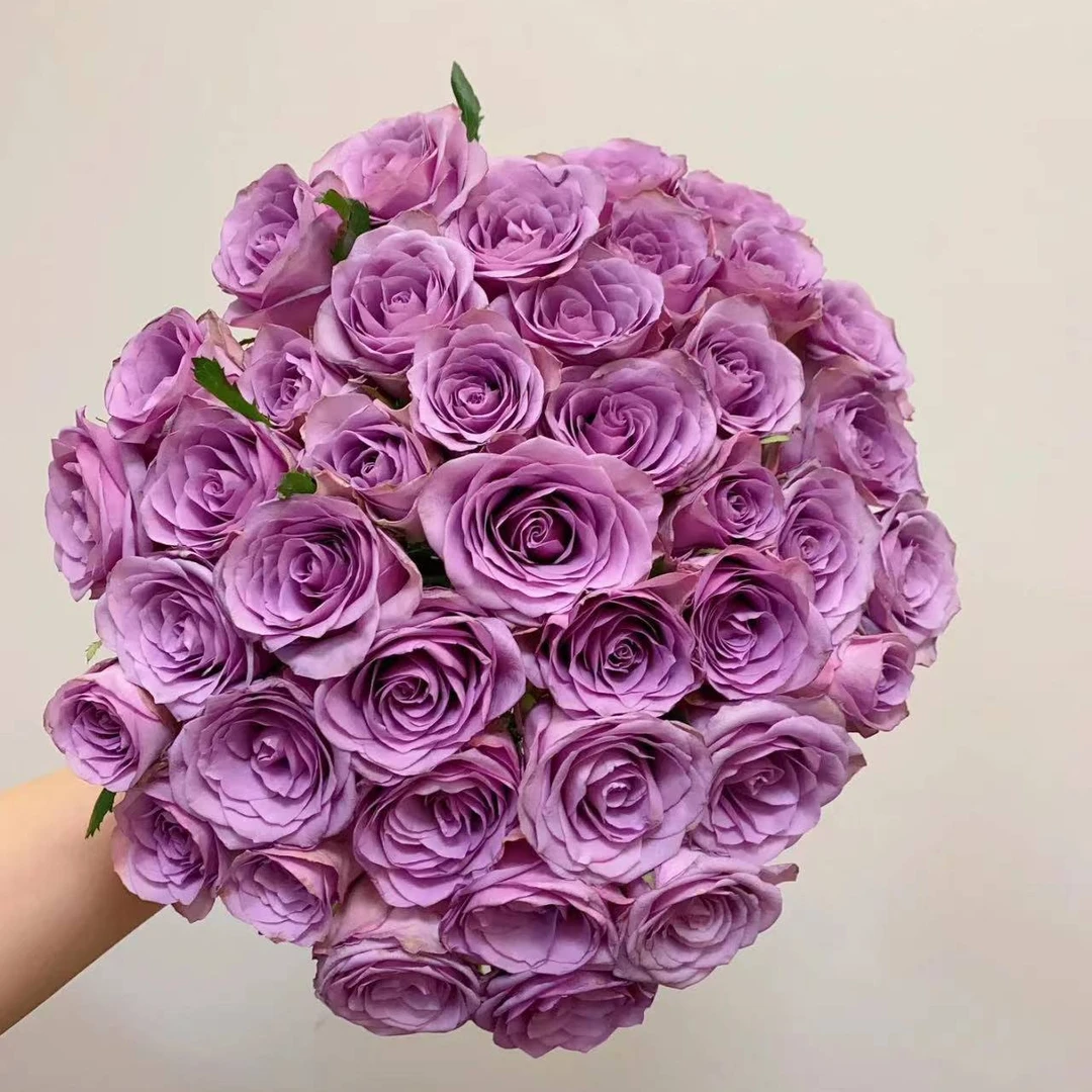 阿丽专属『紫霞仙子10支』家居养花鲜花批发直播 全场两单顺丰包邮次日达 养护教程联系客服