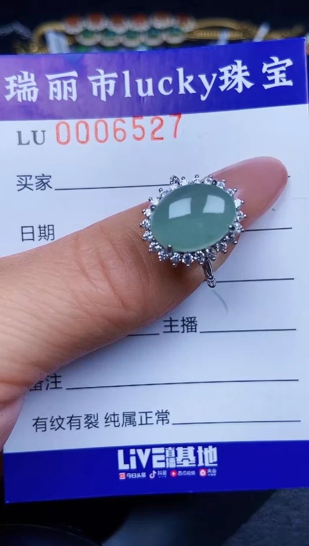 翡翠银S925镶嵌颈饰6527
