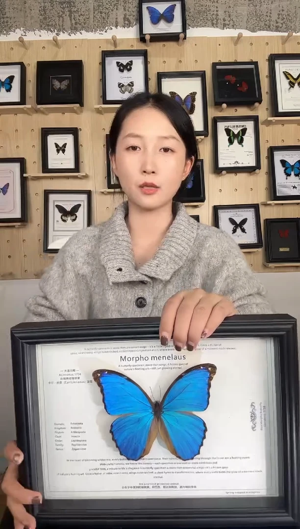 大蓝闪蝶横版蝴蝶装饰画A4框