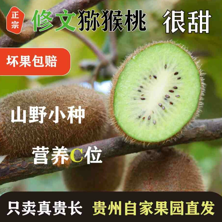 修文贵长猕猴桃新鲜应季香甜软糯绿心奇异果