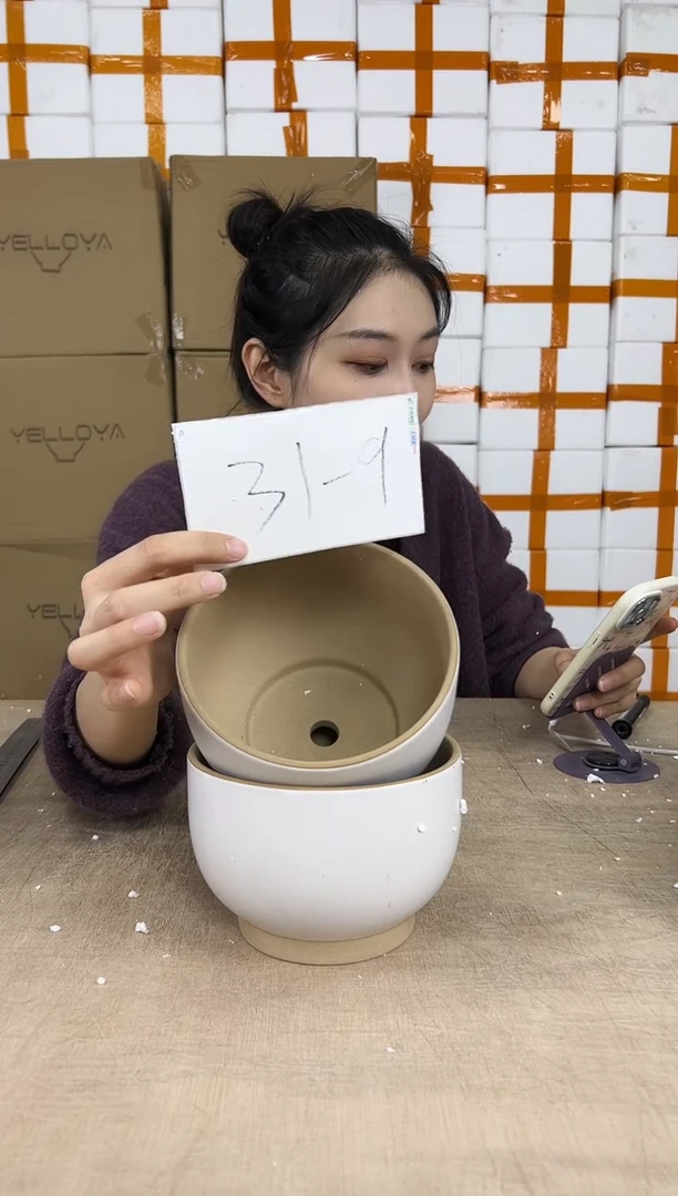 花盆花盆小号12.31--9