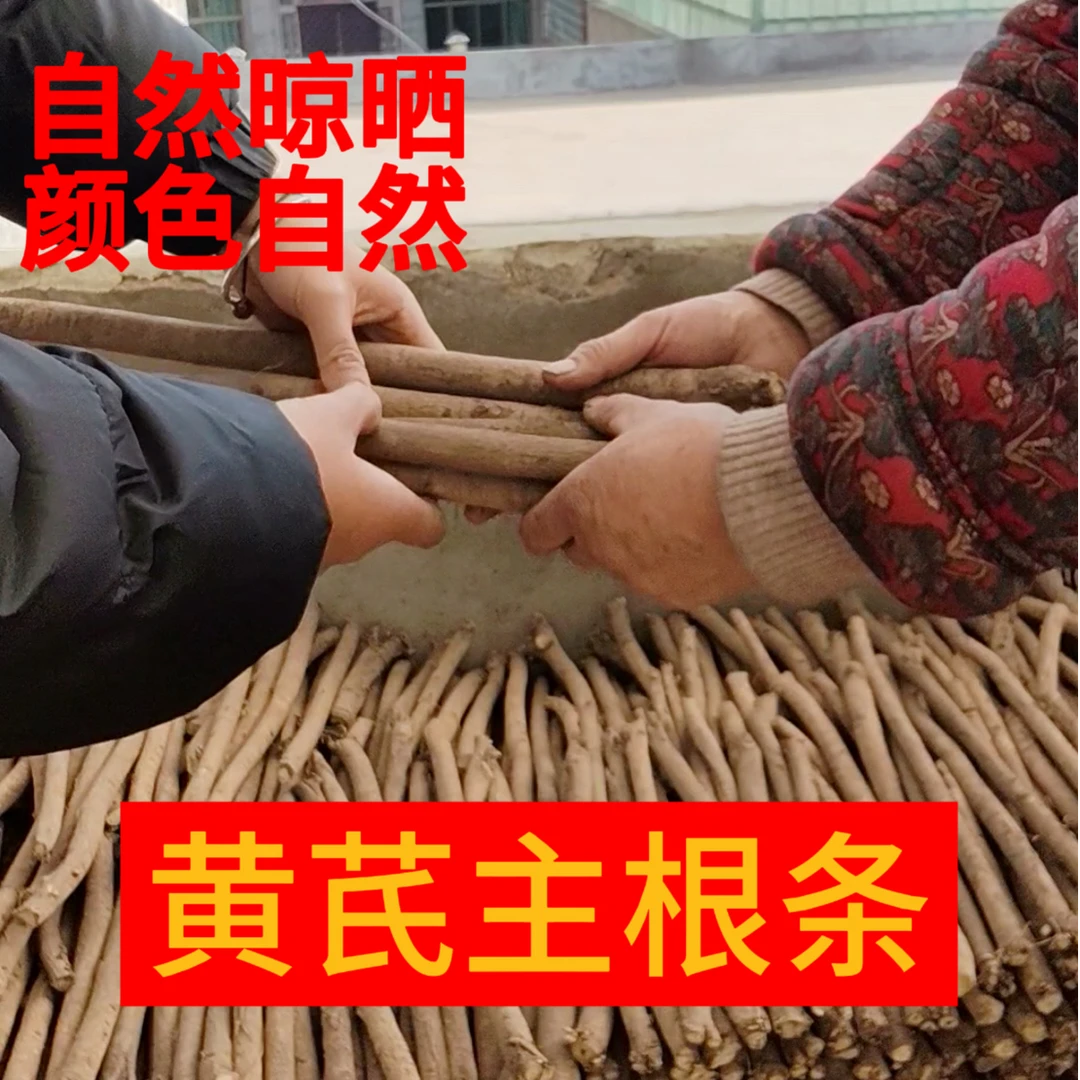 甘肃省岷县原产地现切黄芪黄芪鲜货泡水煲汤滋补养生