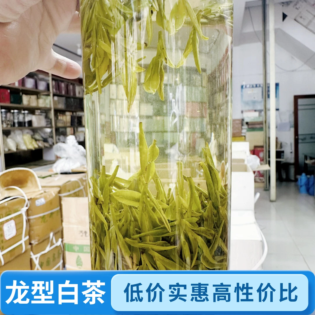2025年新茶龙型白茶 滋味醇厚兰花香豆香核心产区500