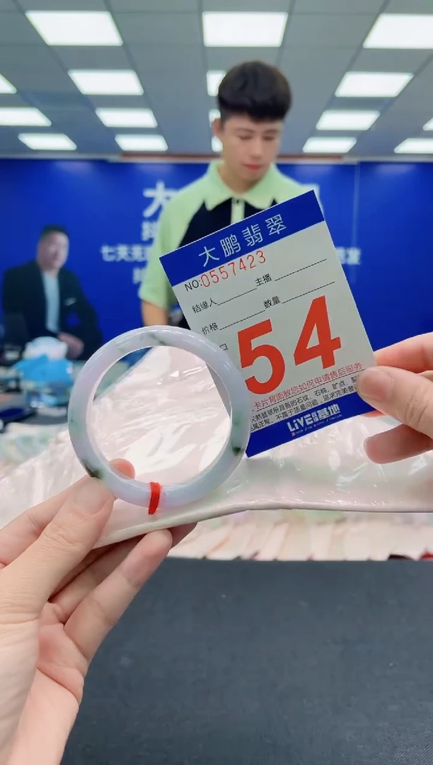 未镶嵌手镯翡翠AAAAAAAAA