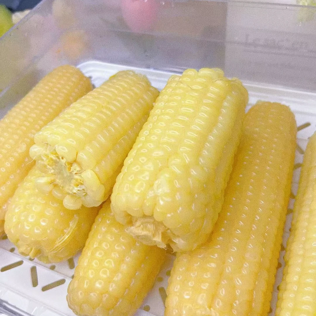 东北熟冻玉米十根装