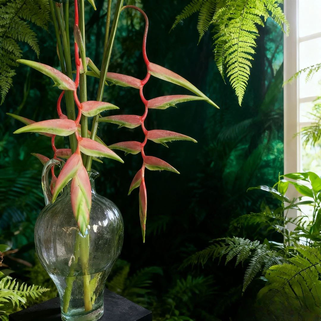 【我种花】粉色吊鸟小众高端稀有瓶插鲜切花束家居水养易活云南直发