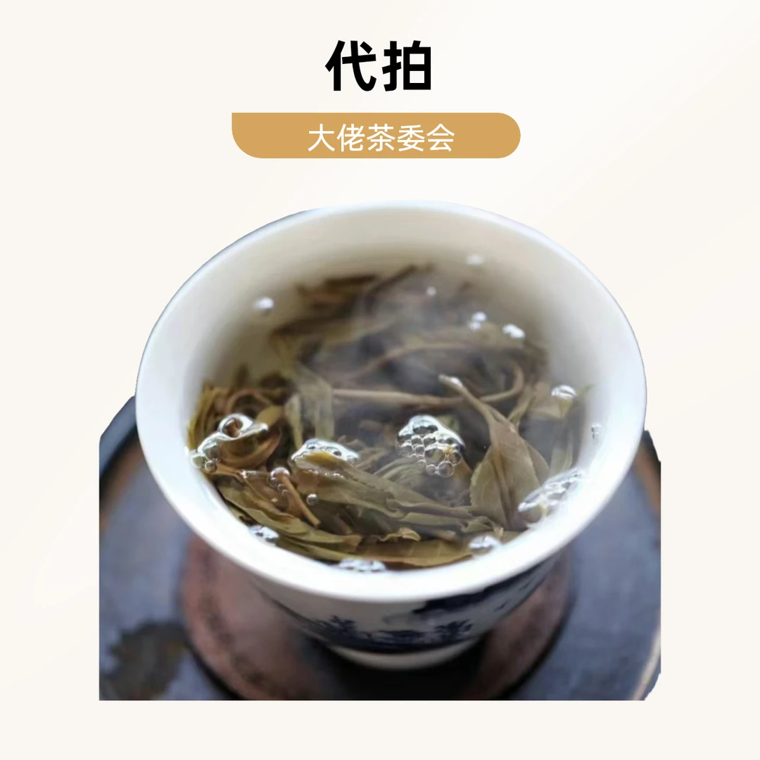 【2.24】（李廷梅）（2023年大户赛大雪山古树龙珠）普洱茶