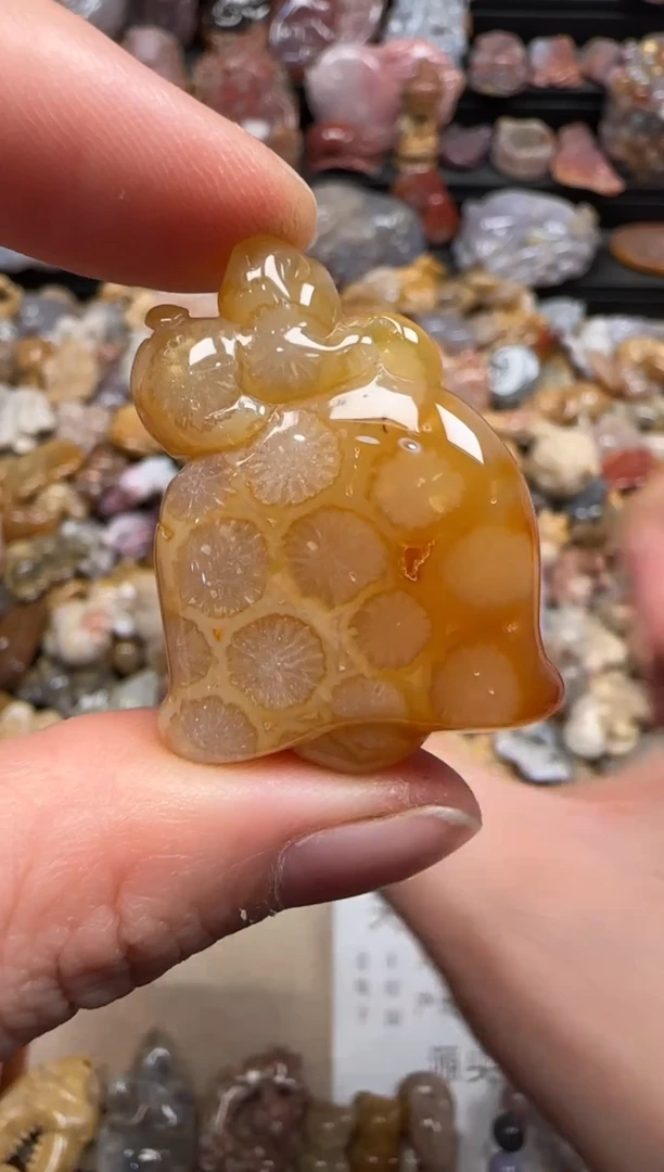 【闪购商品】硅化珊瑚（珊瑚玉）颈饰未镶嵌220