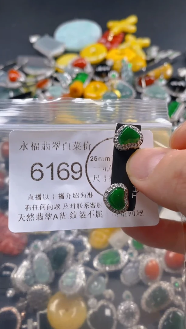 翡翠未镶嵌吊坠(不含链)6169