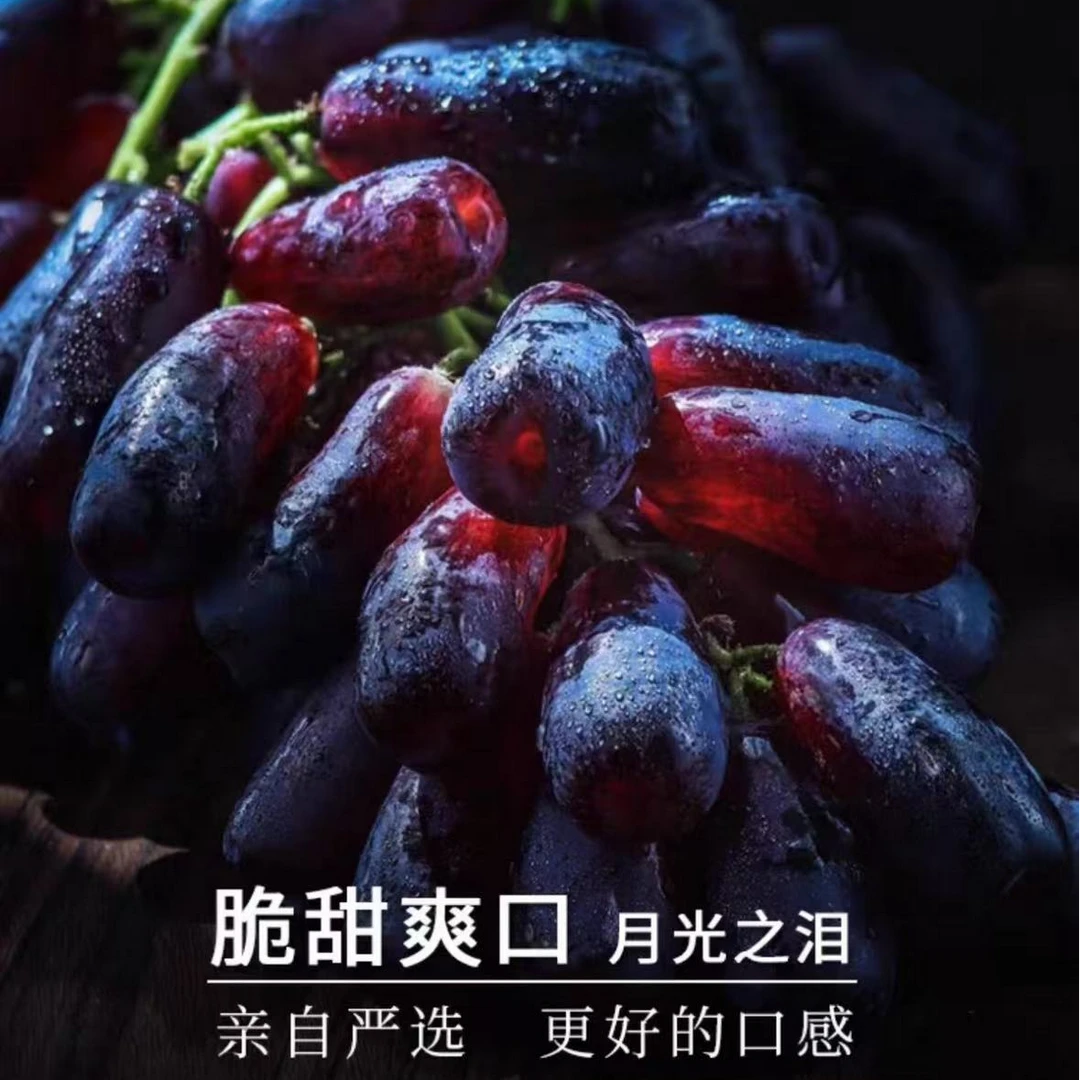 9-3日现货【明日达】大凉山蓝宝石葡萄月光之泪葡萄新鲜采摘现摘现发金手指葡萄美人指无籽无核四川省