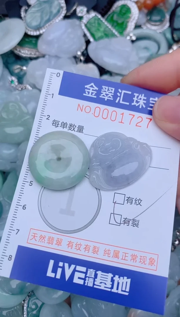 翡翠未镶嵌颈饰1727