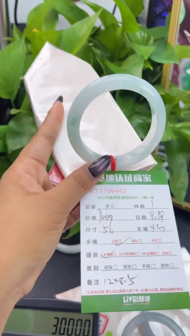 未镶嵌手镯翡翠多人