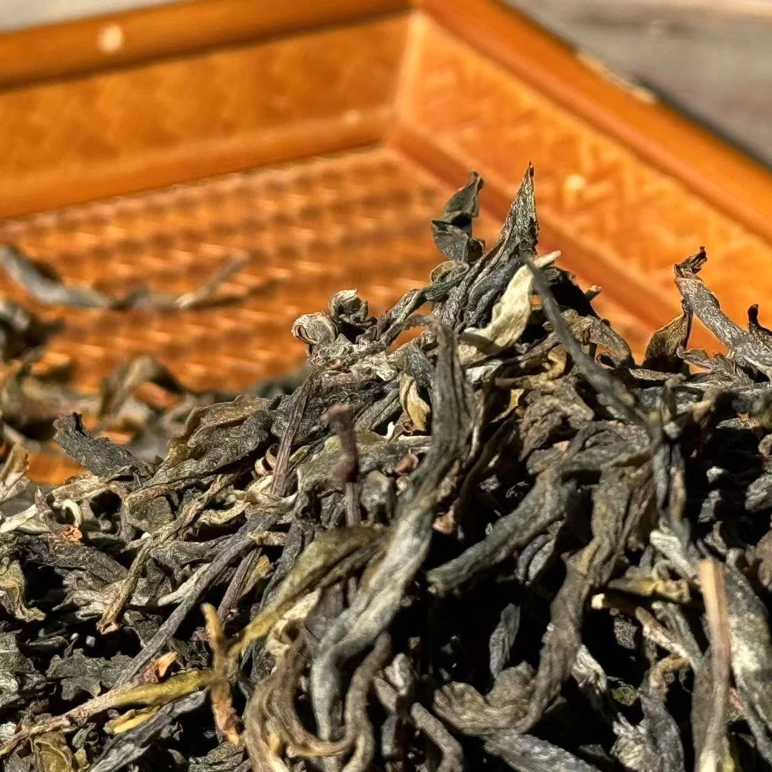 2024年冰岛老寨散茶（中树）品鉴装