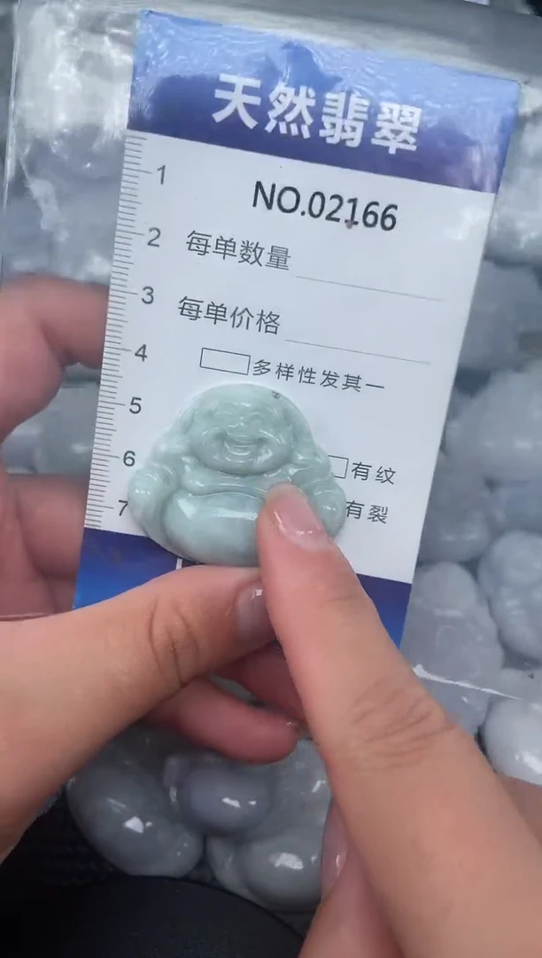 颈饰未镶嵌翡翠纯天然A货翡翠2166