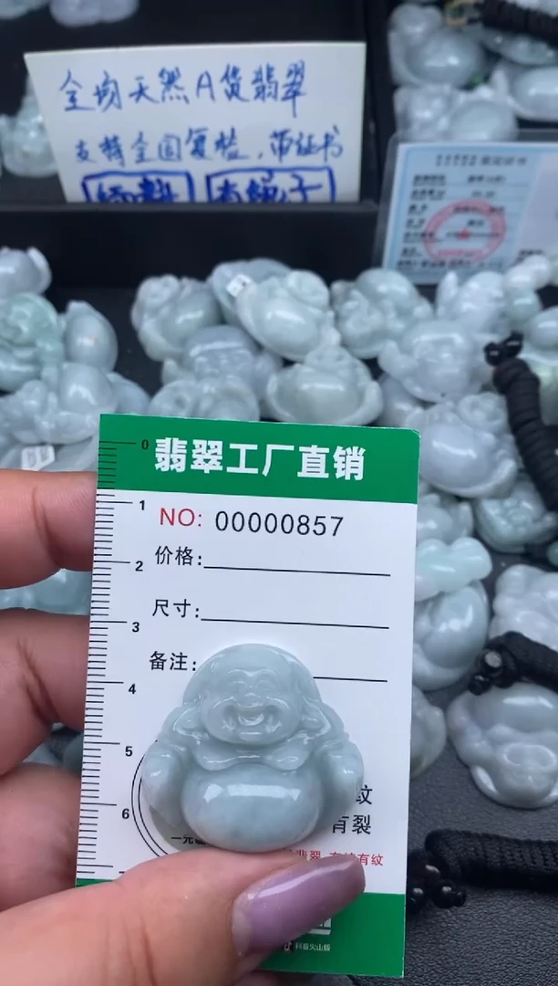 翡翠未镶嵌颈饰缅甸天然A货翡翠0857