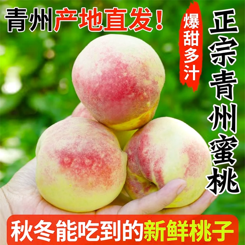 山东青州蜜桃新鲜现摘应季水果脆甜可口