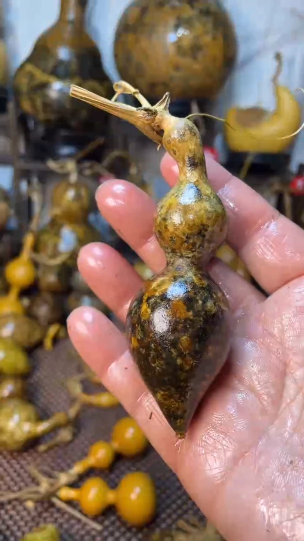 【闪购商品】葫芦葫芦葫芦葫芦