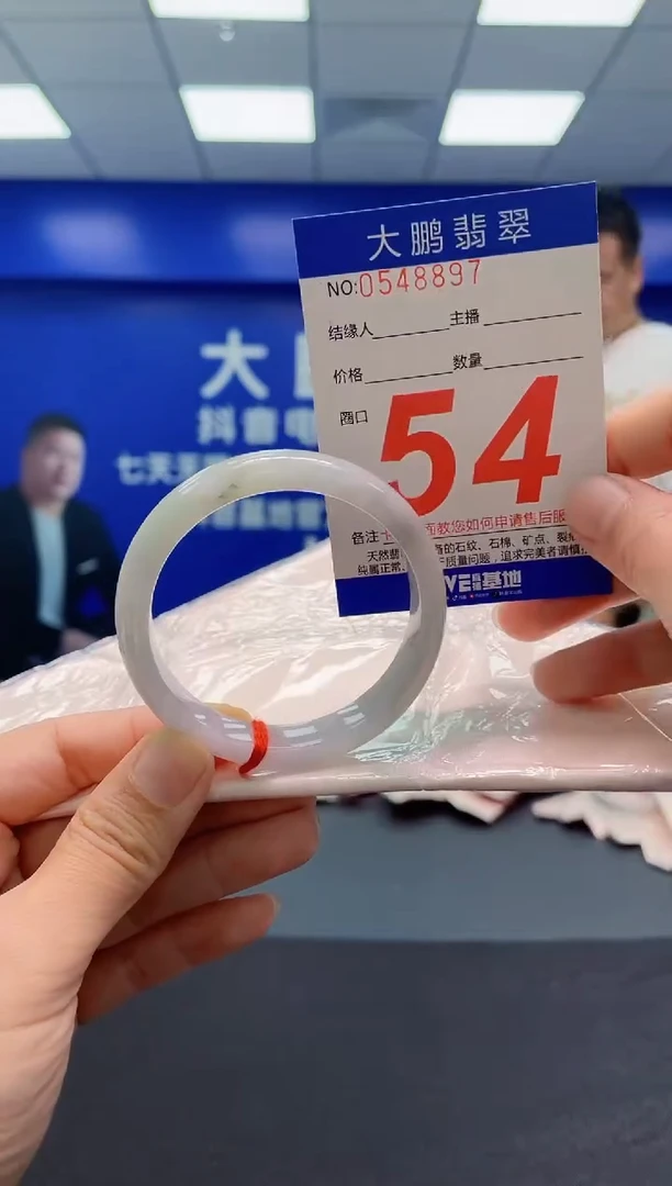 未镶嵌手镯翡翠AAAAAAAAA