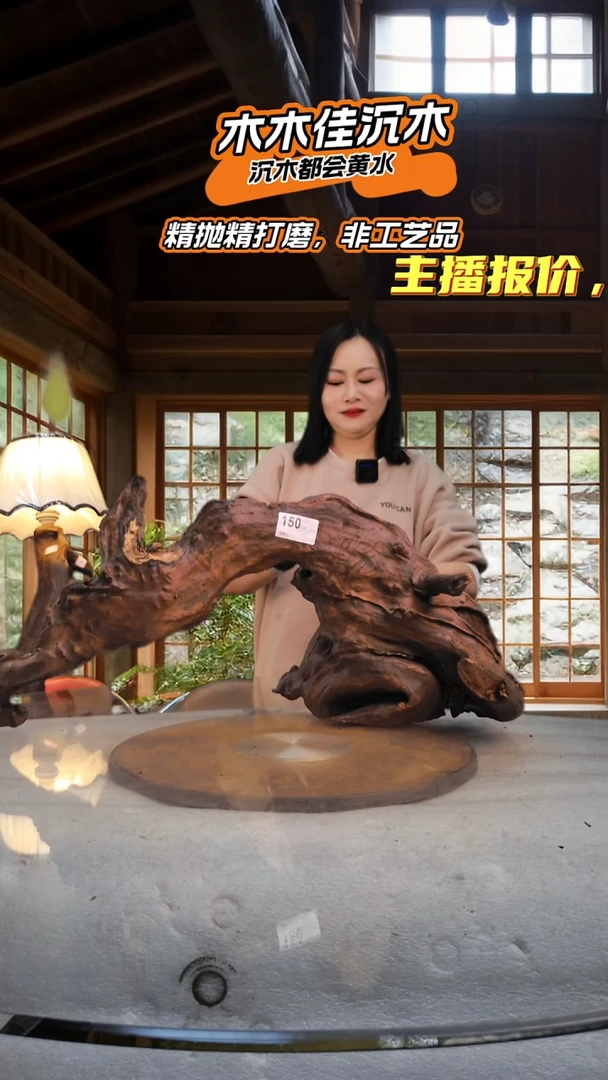 亚**店木木佳沉木鱼缸造景150