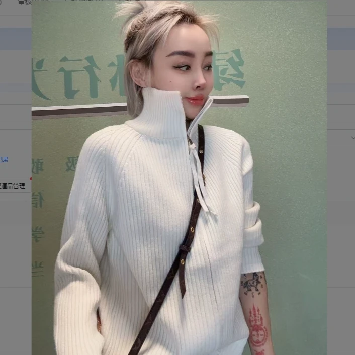 百搭款燕麦色爆款净版立领拉链毛衣