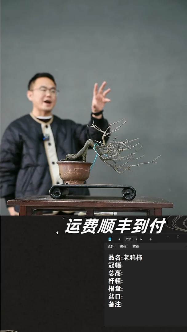 【闪购商品】42 老鸦柿