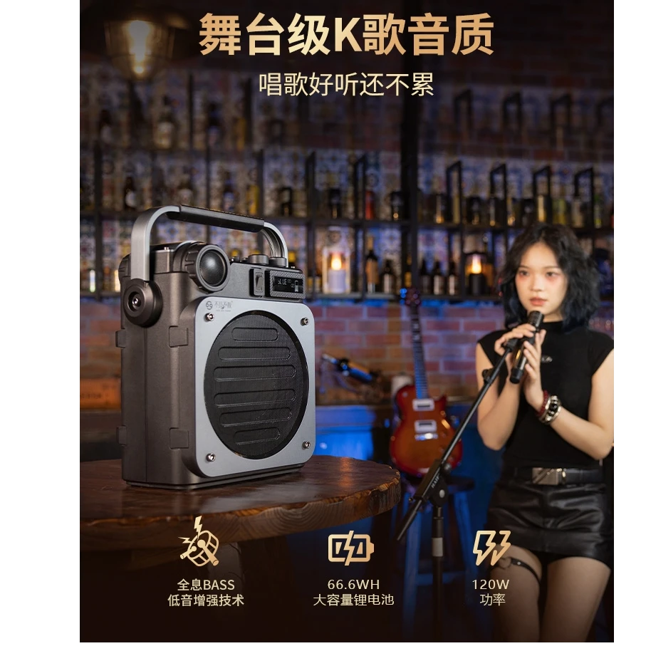 See Me Here/不见不散D6户外K歌音响麦克风声卡手提便携广场舞