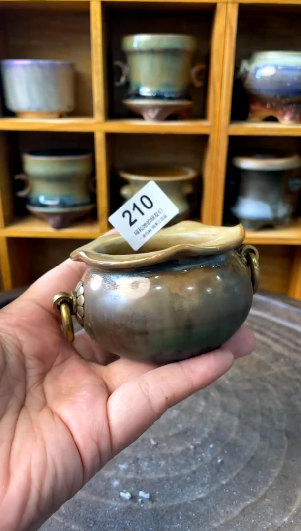 210【多肉花盆多肉盆】