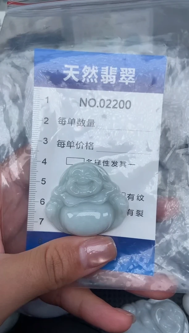 颈饰未镶嵌翡翠纯天然A货翡翠2200