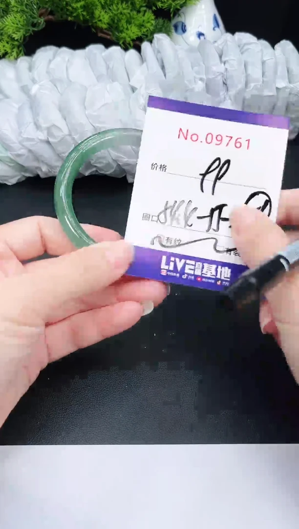未镶嵌手镯翡翠9761