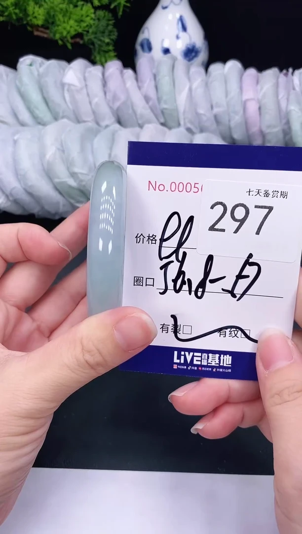 未镶嵌手镯翡翠297