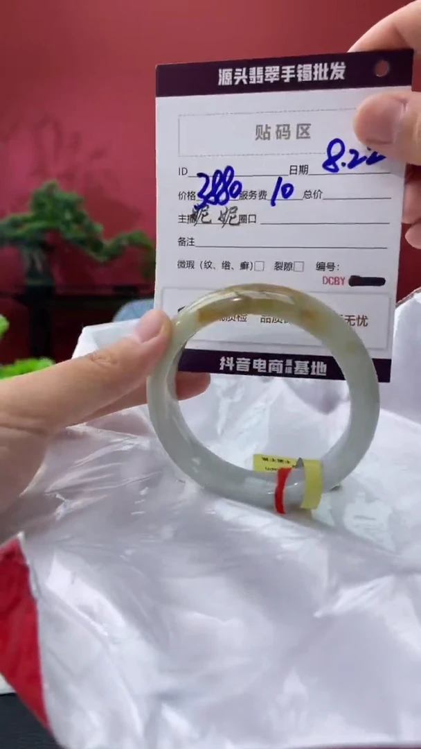 未镶嵌手镯翡翠6