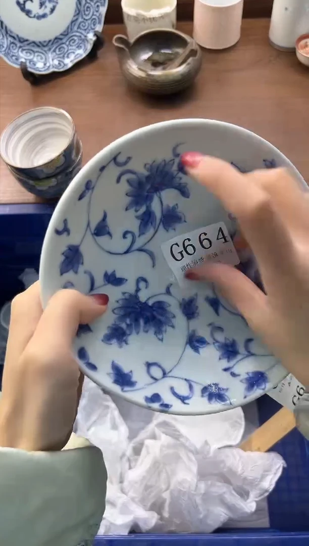 【闪购商品】瓷片----------G664