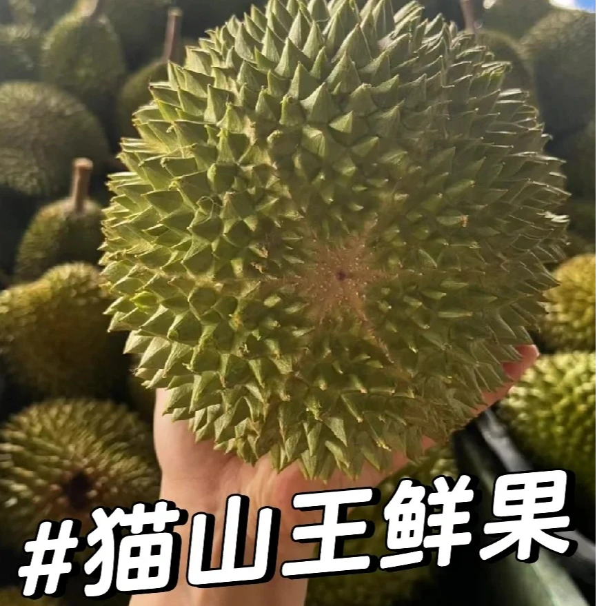 【猫山王鲜果拍这里丨一果一拍】马来西亚D197猫山王鲜榴莲空运同城小时达核大2-7斤猫山王马来西亚