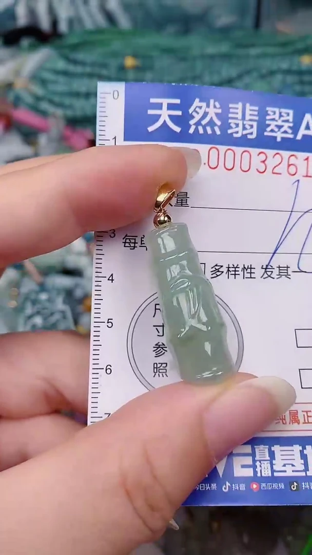 翡翠未镶嵌颈饰00003261