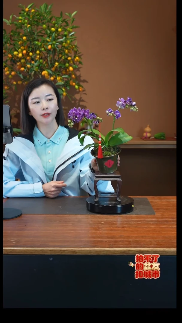 全部花朵紫色花语