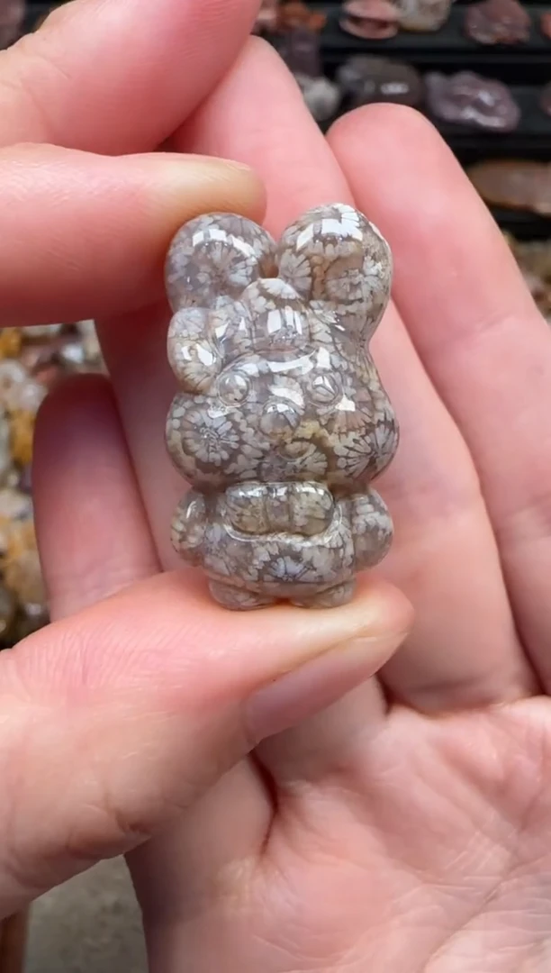 颈饰未镶嵌硅化珊瑚（珊瑚玉）680