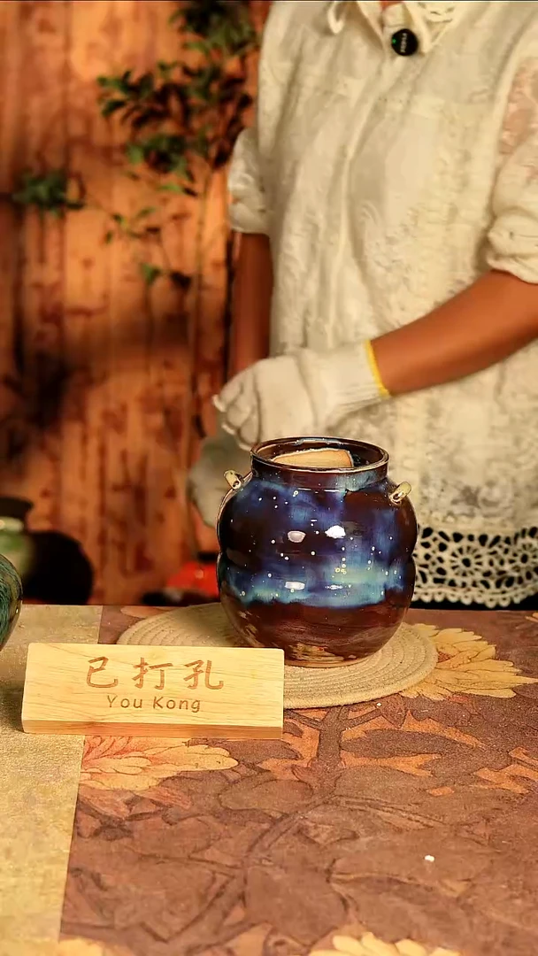 陶10-191高度16口径9已打孔