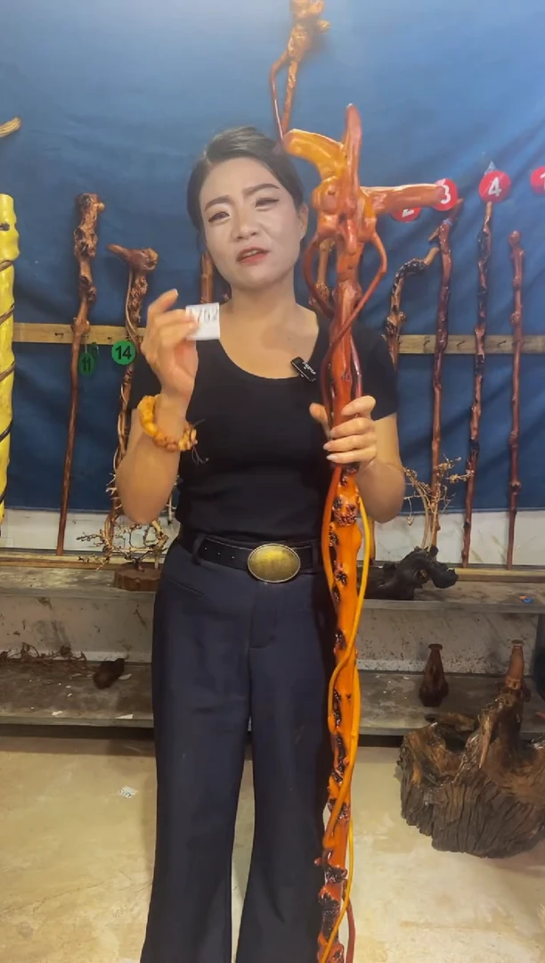 黑果木?***?黑果木A752