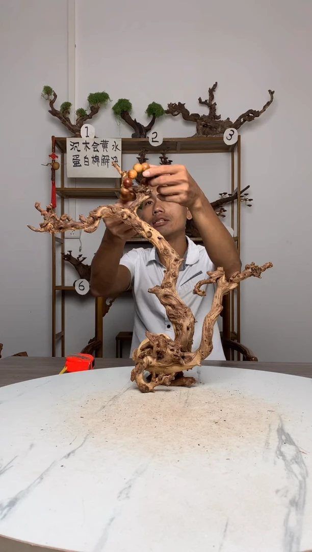 王***子鱼缸造景沉木摆件