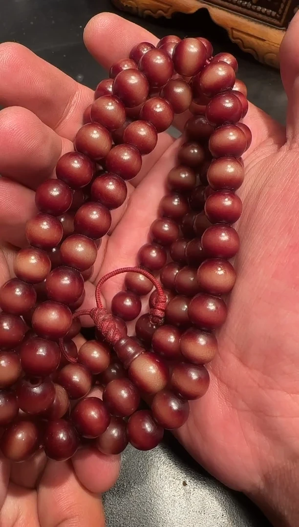 菩提根菩提根菩提根