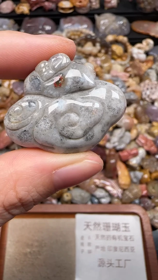 硅化珊瑚（珊瑚玉）未镶嵌颈饰699