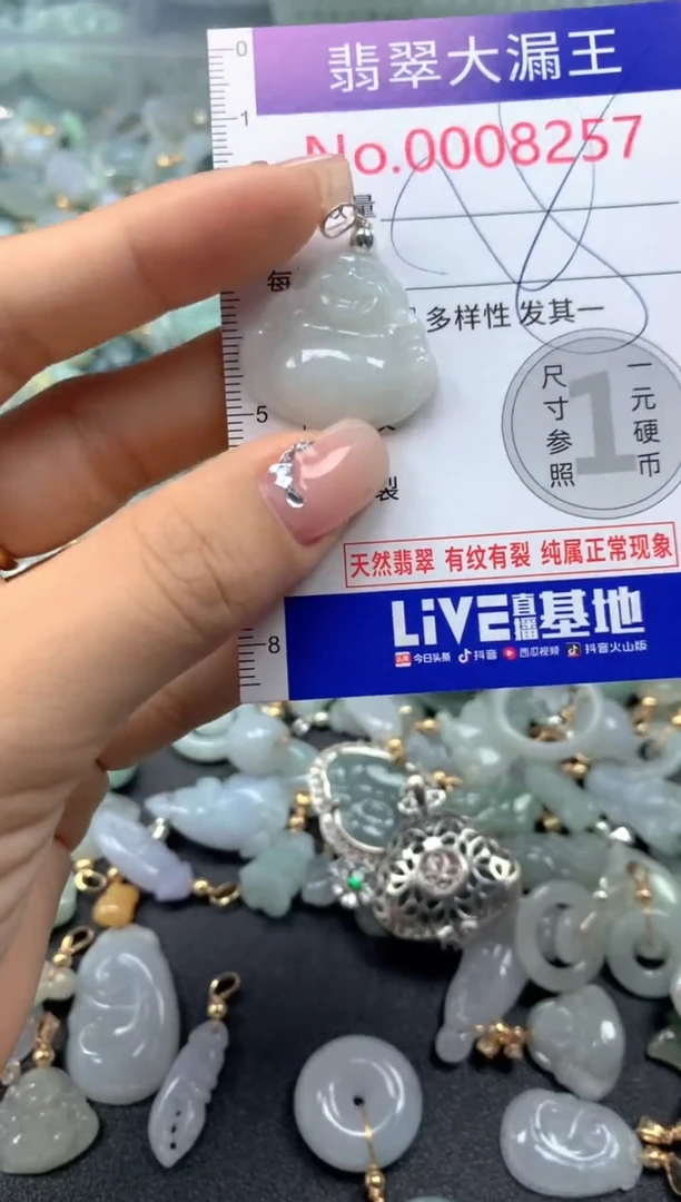 颈饰未镶嵌翡翠8257