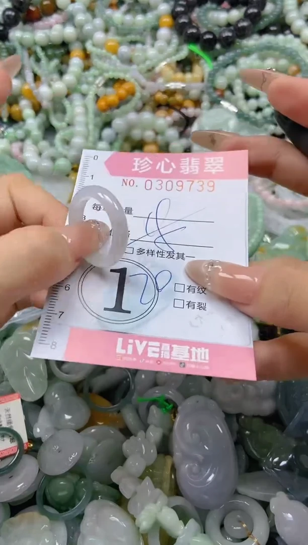 翡翠未镶嵌颈饰闪购0309739多样性发其一