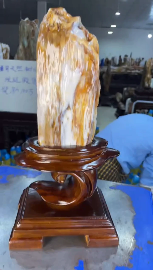 未镶嵌摆件硅化玉11