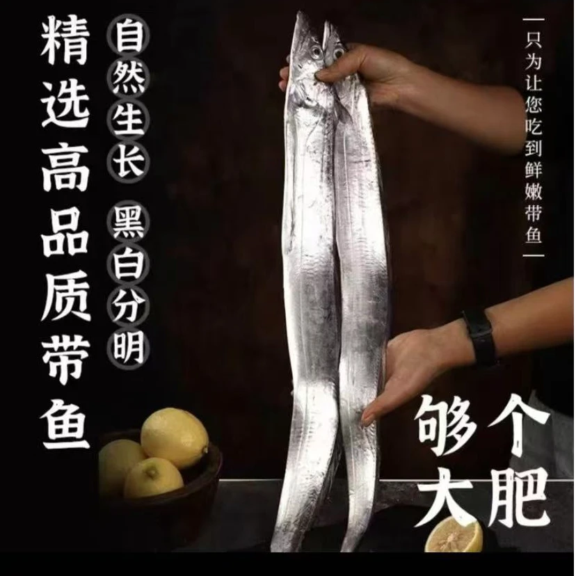 新鲜速冻 整条带鱼 5斤（单条半斤左右 ）