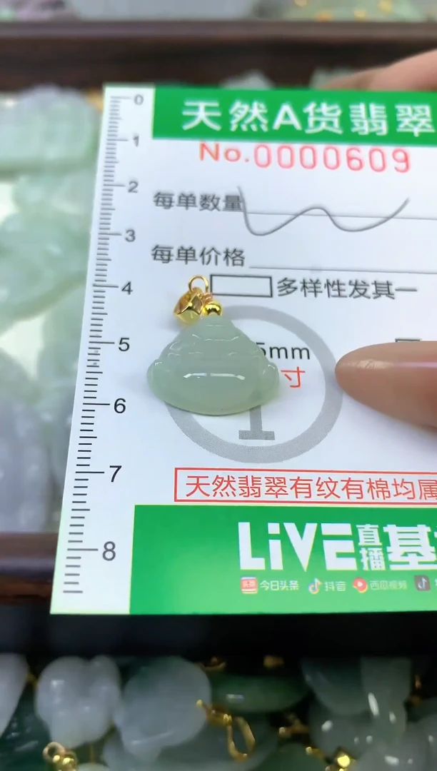 颈饰未镶嵌翡翠未镶嵌纯天然A货翡翠