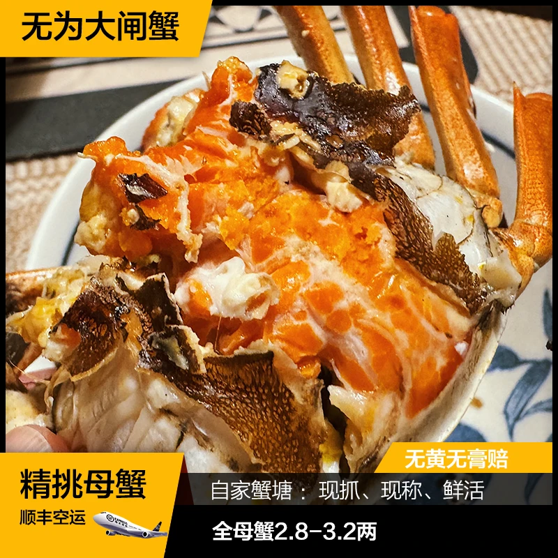 【活蟹】无为大闸蟹全母蟹（4.9-5.2）两6-10只鲜活螃蟹