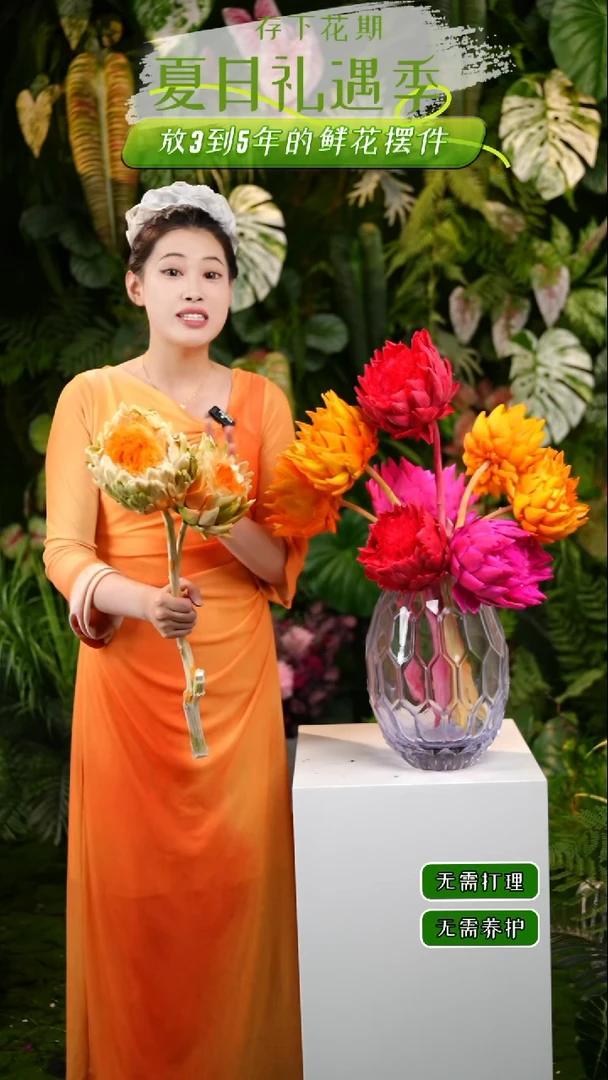 莫吉托发货不低于10cm不售后